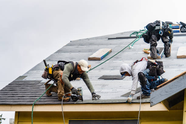 Professional Roofing technician working in Roanoke, IL